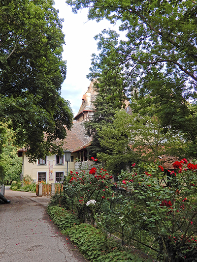 KIGBild22